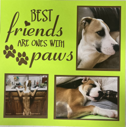 Best Friends are ones with Paws